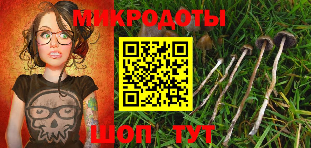 Псилоцибиновые грибы прущие грибы Таганрог